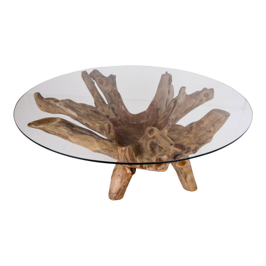 Amazonas Glass and Teak Root Round Coffee Table-3