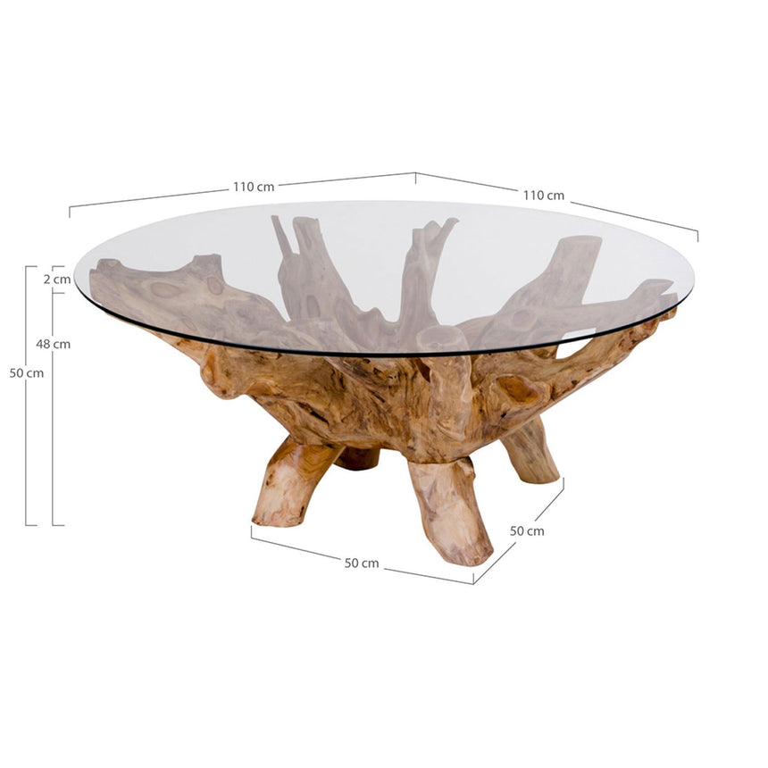 Amazonas Glass and Teak Root Round Coffee Table-5