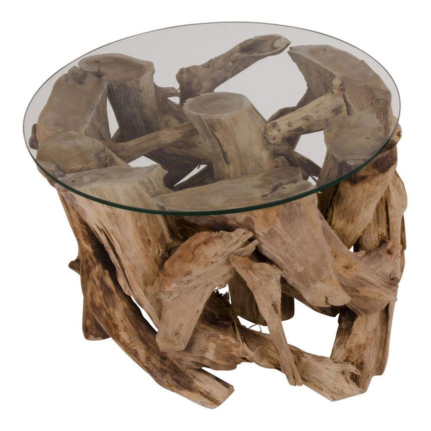 Grand Glass and Teak Root Round Coffee Table-4