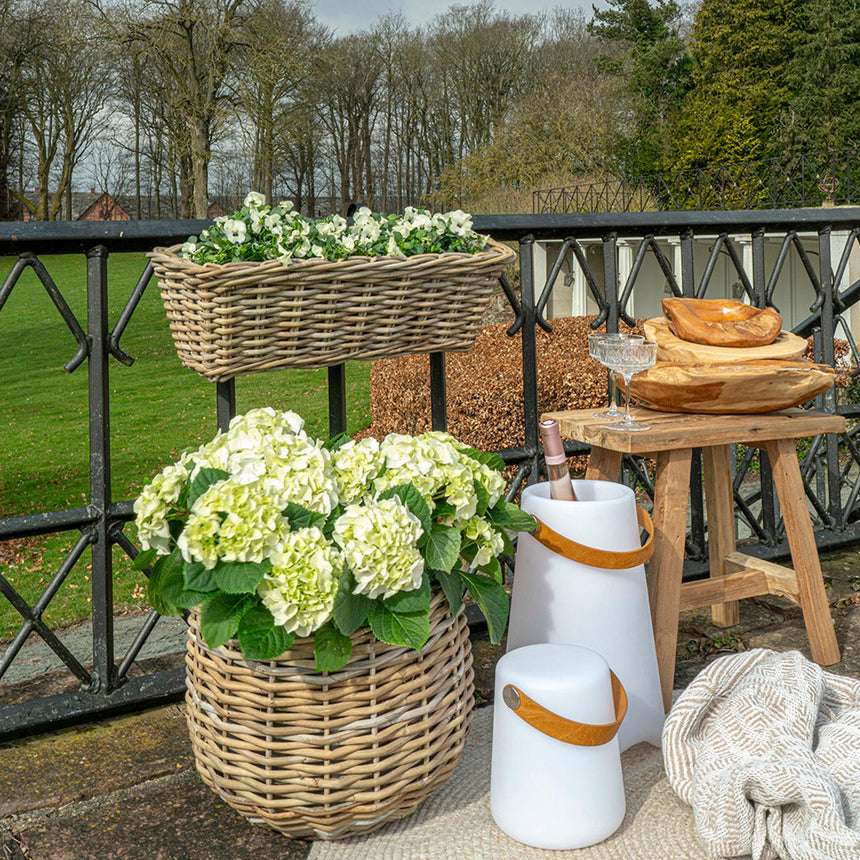 Bristol White LED Lamp-2