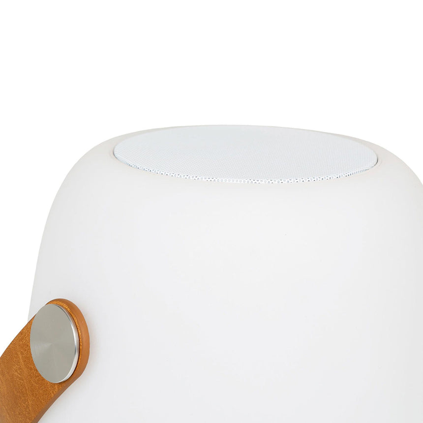 Cardiff White Led Lamp-6