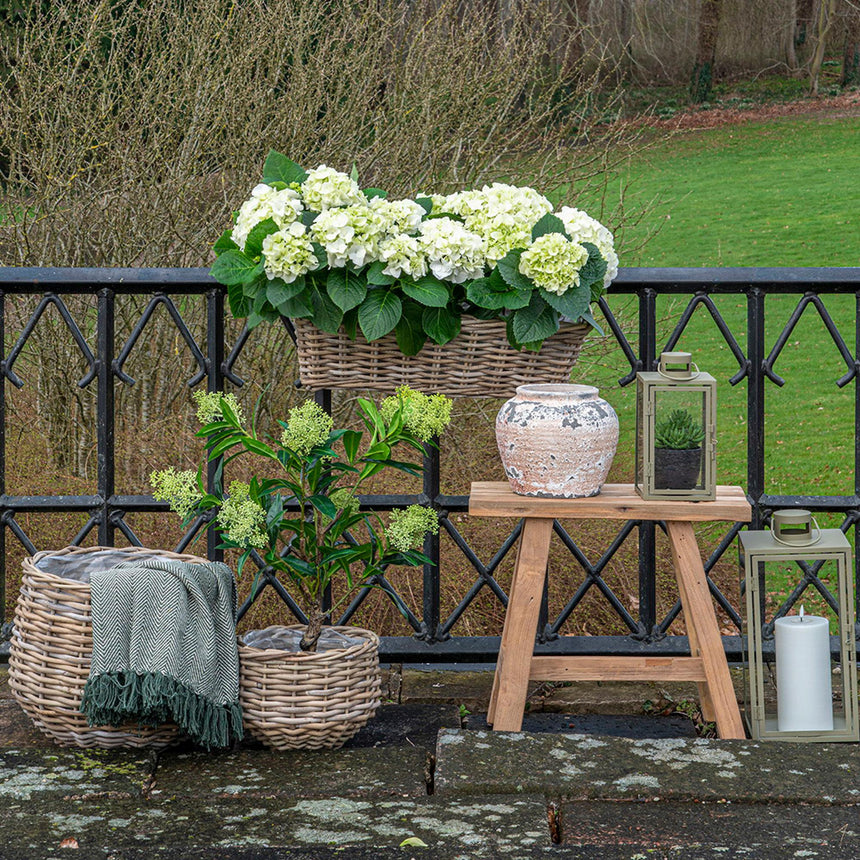 Corfu Green Steel Lanterns (Set of 2)-5