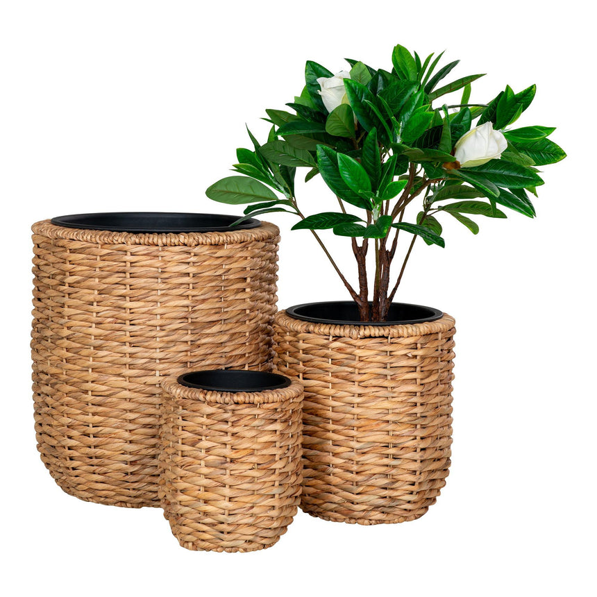Hanoi Natural Waterhyacinth Set of 3 Planters-2