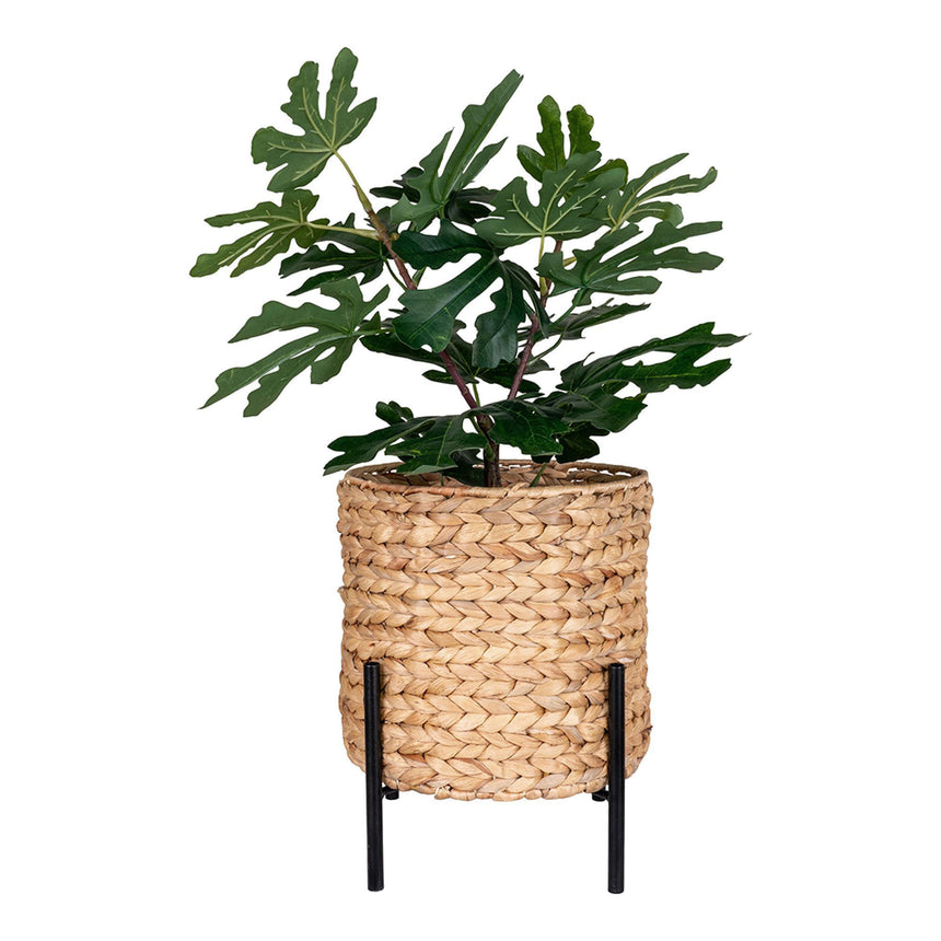 Antas Natural Waterhyacinth Planter-3