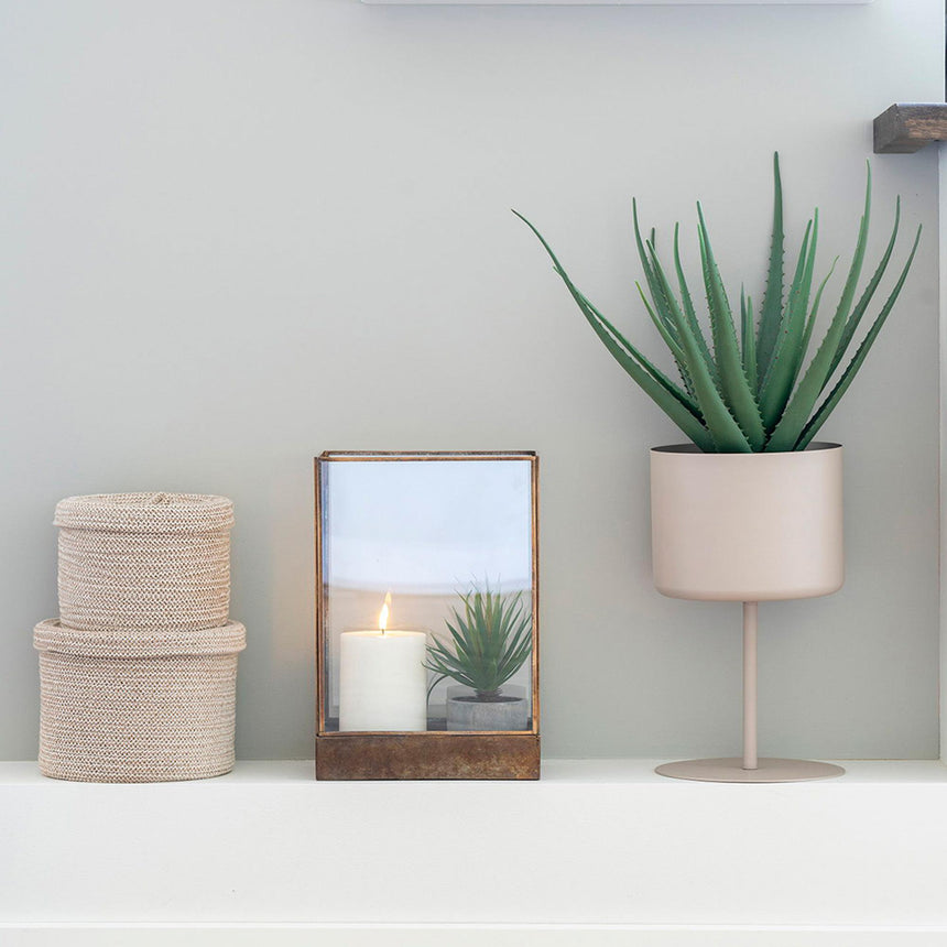 Artificial Aloe Vera Plant-6