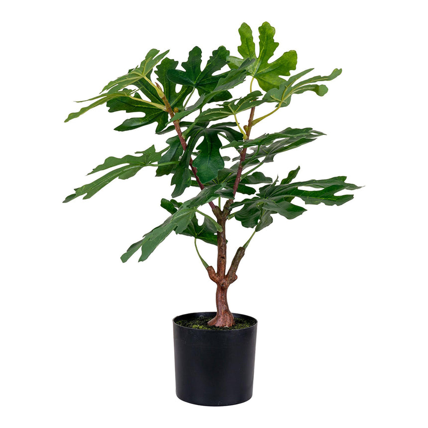 Artificial Fig Tree-2