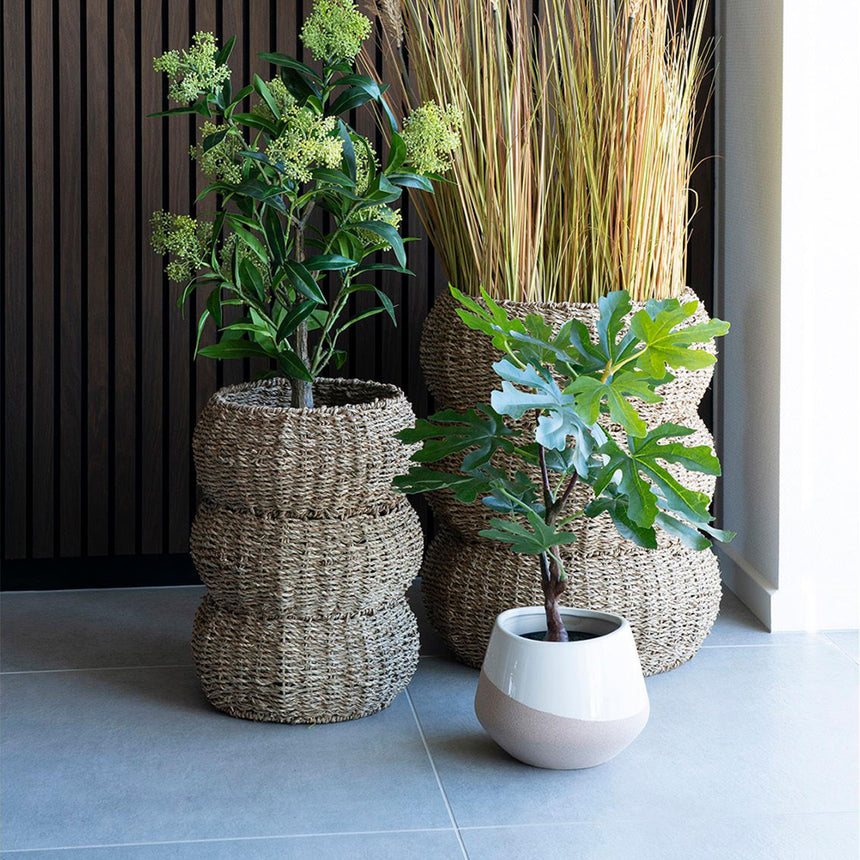 Artificial Fig Tree-5