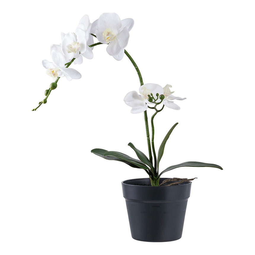 Artificial Orchid Plant-2
