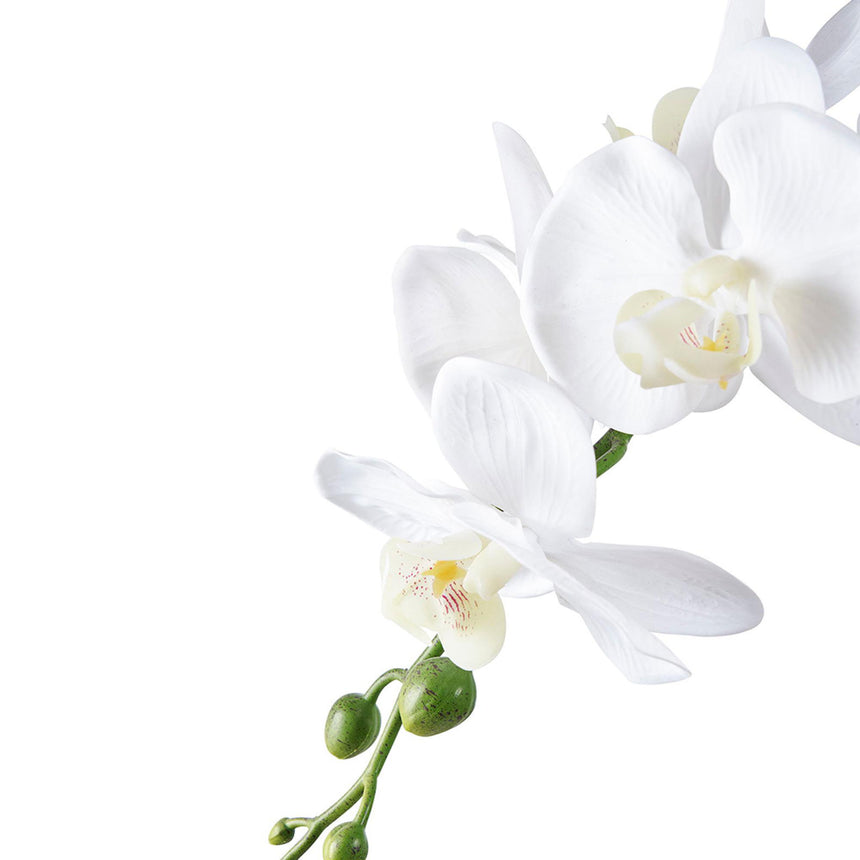 Artificial Orchid Plant-3