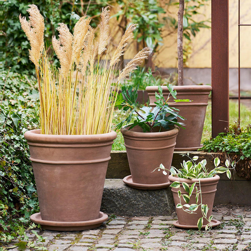Brown Terracotta Saucer (Set of 4) - 35cm x 35cm x 4cm-2