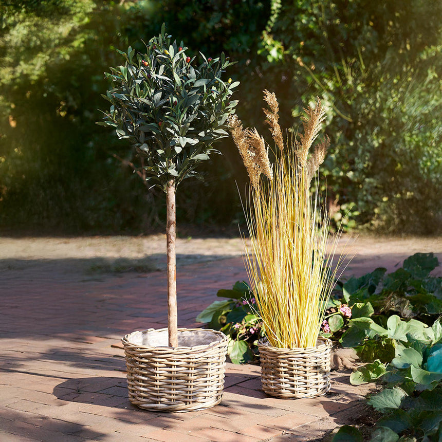 Kalak Natural Kubu Rattan Basket - Set of 2-4