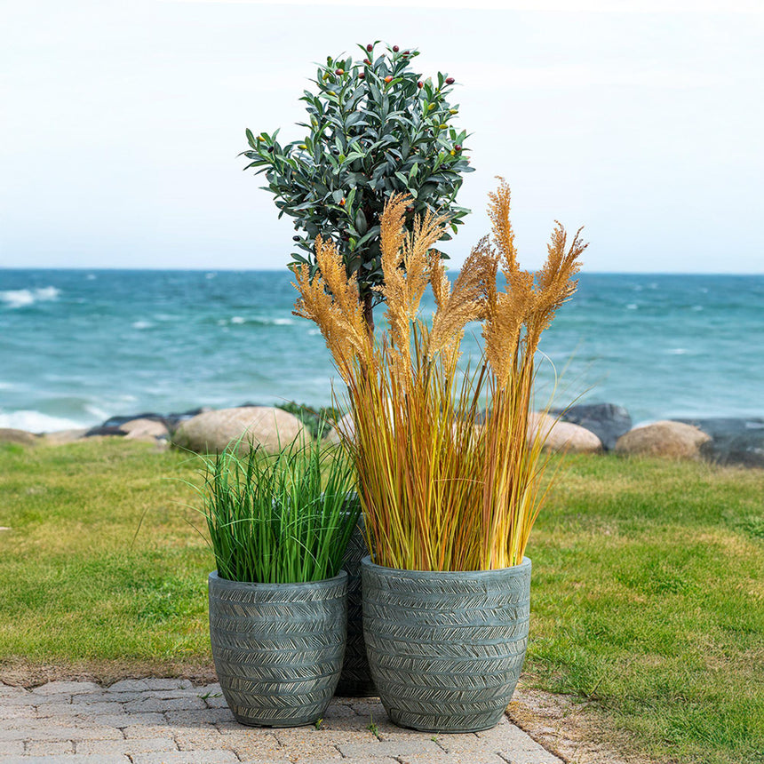 Natural Sorghum Grass-5