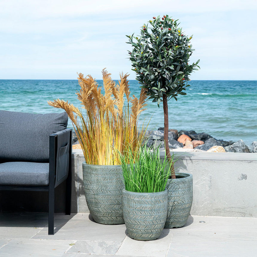 Natural Sorghum Grass-6