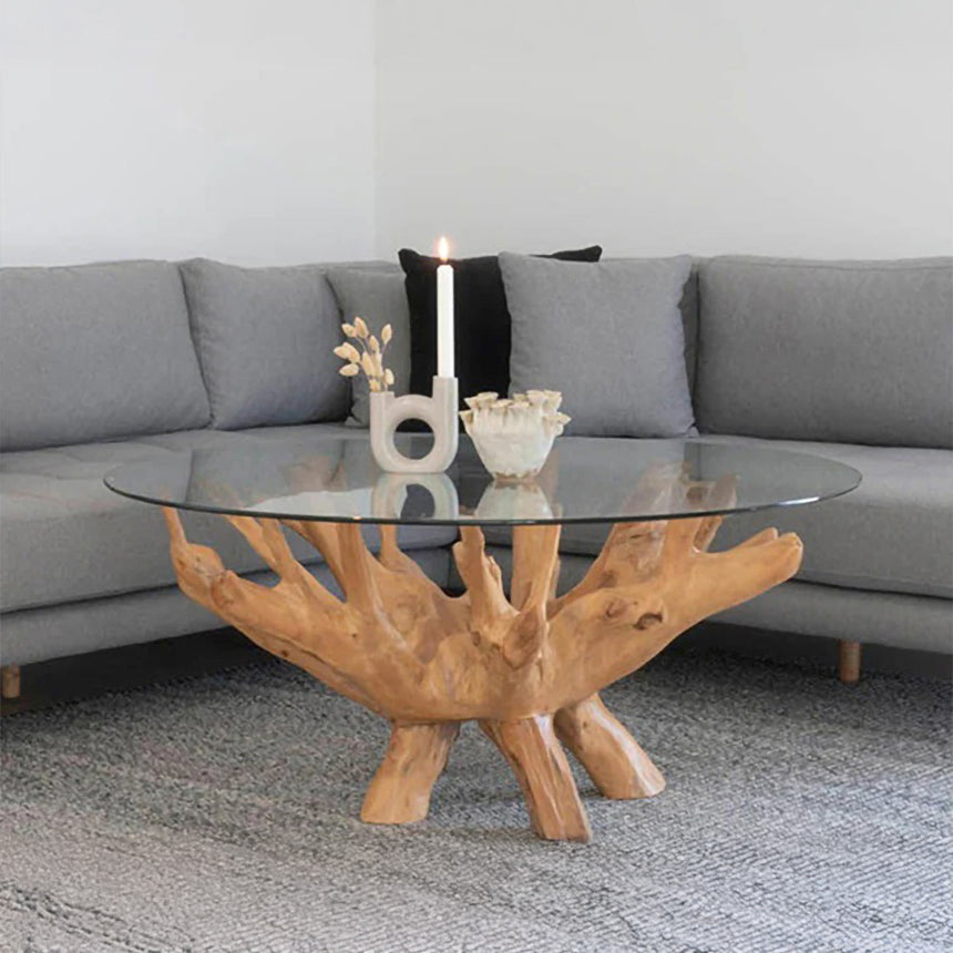 Amazonas Glass and Teak Root Round Coffee Table