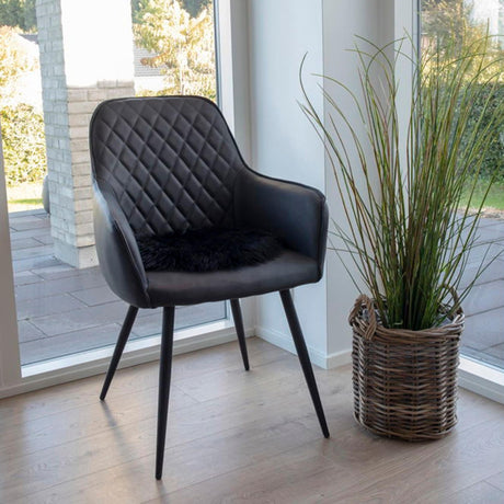 Urban Deco Harbo