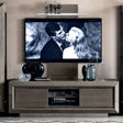 Modum Elite Silver Birch Italian TV Unit
