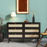 Ferrero Black and Woven Rattan 6 Drawer Wide Chest-2