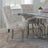 Lion Knocker Back Champagne Velvet Fabric Dining Chair with Chrome Legs-4