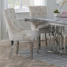 Lion Knocker Back Champagne Velvet Fabric Dining Chair with Chrome Legs-4