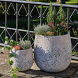 Sutton Grey Fiberclay Set of 2 Pots