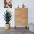 Kyoto Oak 2 Door Hall Cabinet