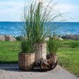 Hanoi Natural Waterhyacinth Set of 3 Planters