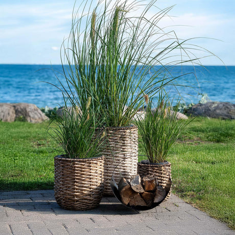 Hanoi Natural Waterhyacinth Set of 3 Planters