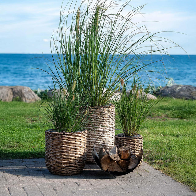 Hanoi Natural Waterhyacinth Set of 3 Planters