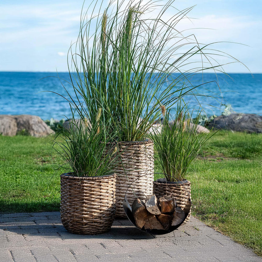 Hanoi Natural Waterhyacinth Set of 3 Planters