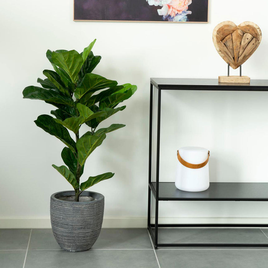 Fiddle Green Fiddle Leaf Tree