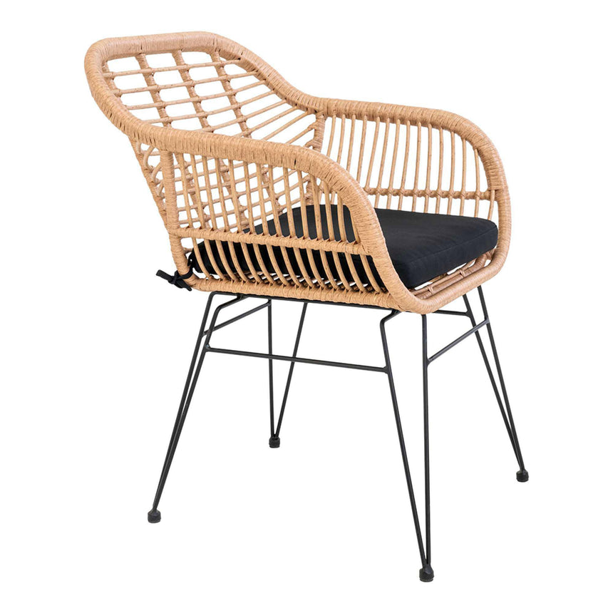 2 x Trieste Rattan Garden Dining Armchair-4