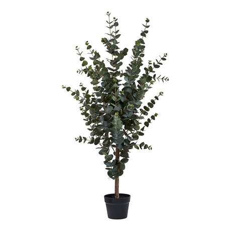 Artificial Eucalyptus Tree-2