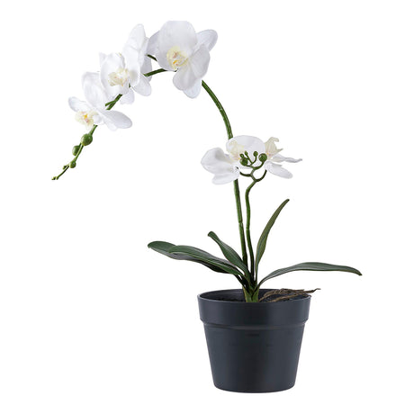 Artificial Orchid Plant-2