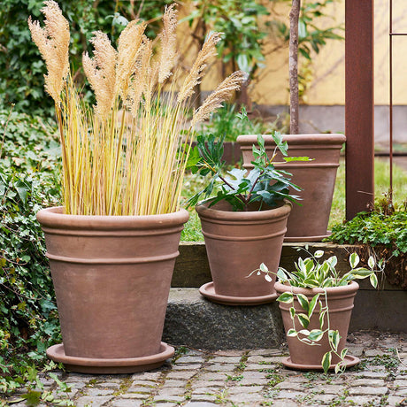 Brown Terracotta Saucer (Set of 4)-2