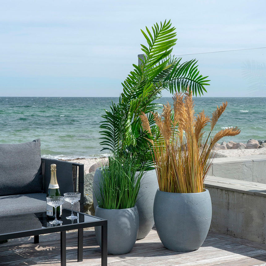 Cecilia Green Areca Palm-5