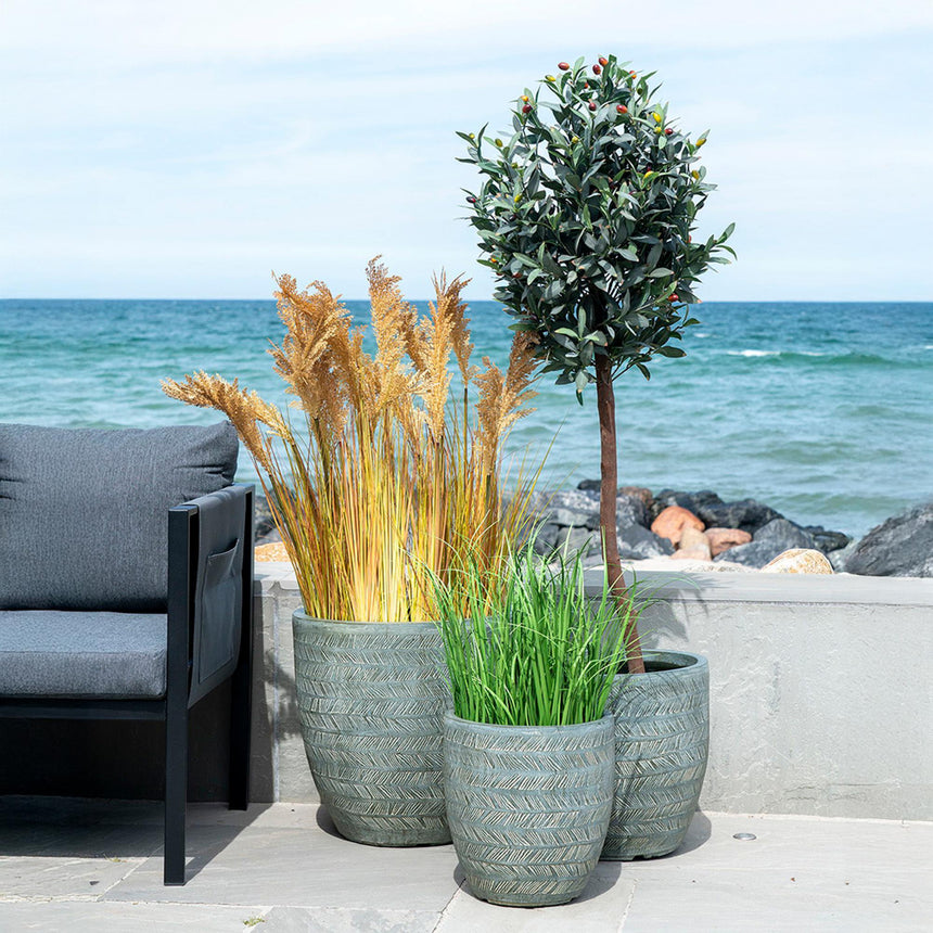 Fairlawn Green Olive Tree  - 58cm x 110cm-4