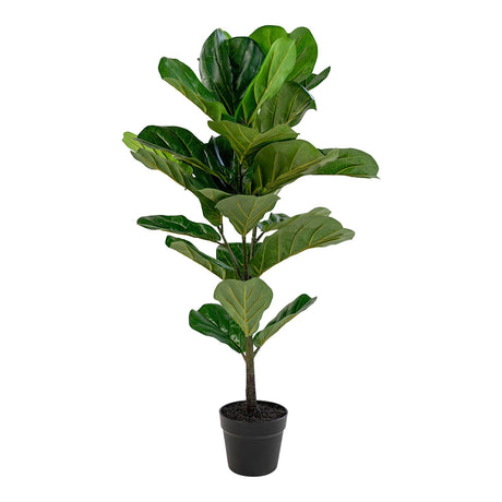 Fiddle Green Fiddle Leaf Tree-2