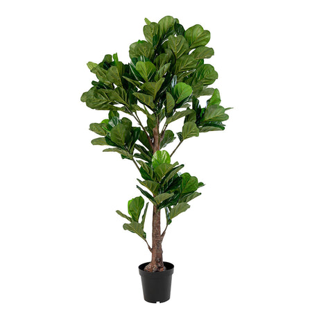 Fiddle Green Fiddle Leaf Tree - 93cm x 190cm-2