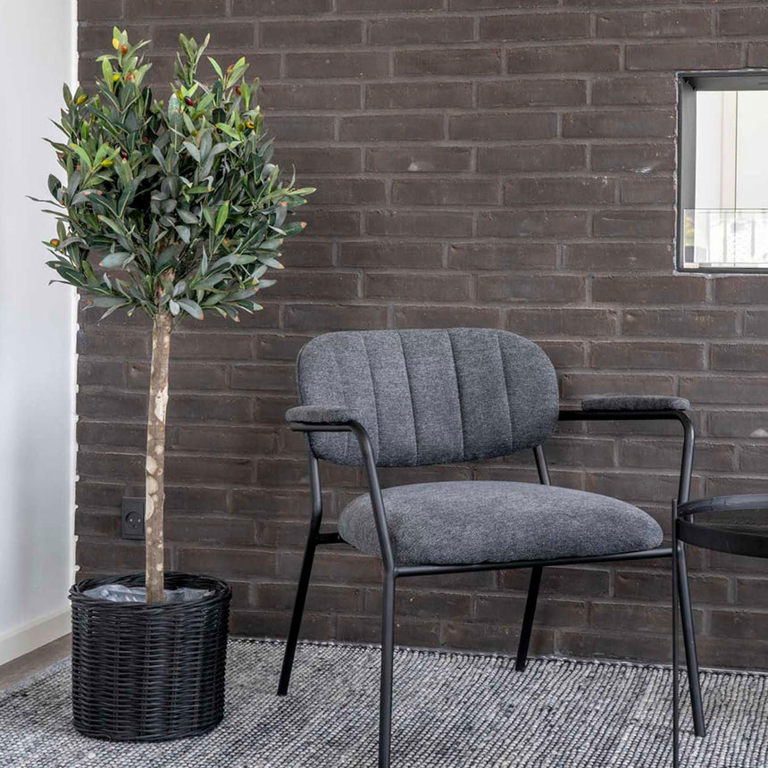 Green Olive Tree-7