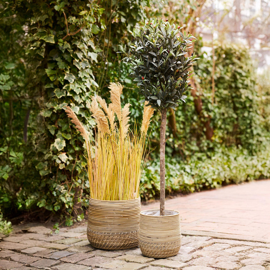 Moro Natural Kubu Rattan Baskets - Set of 2-4