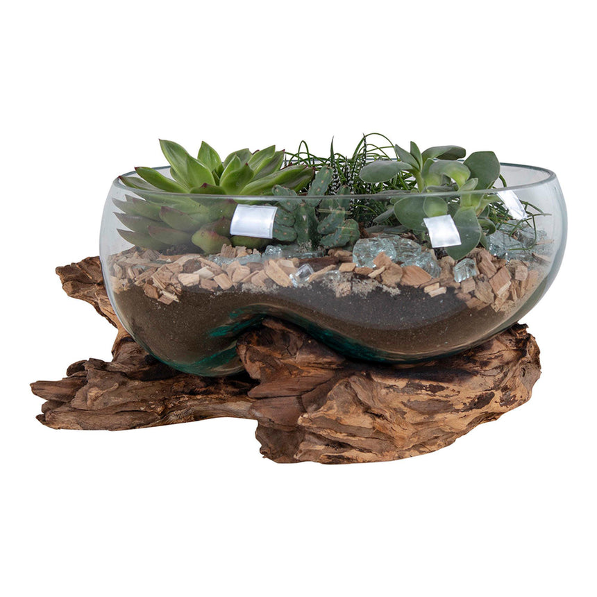 San Natural Teakwood San Marino Waterdrop-4