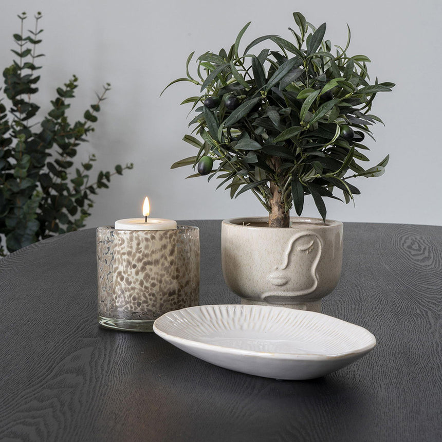 Beige Ceramic Flowerpot-3