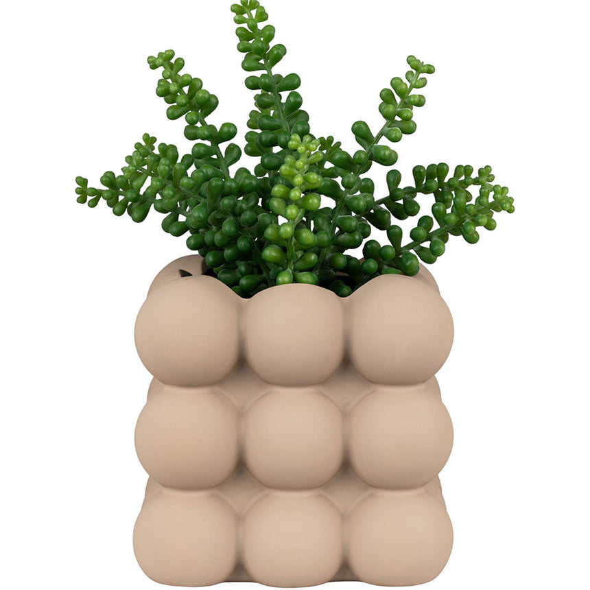 Brown Ceramic Flowerpot-3